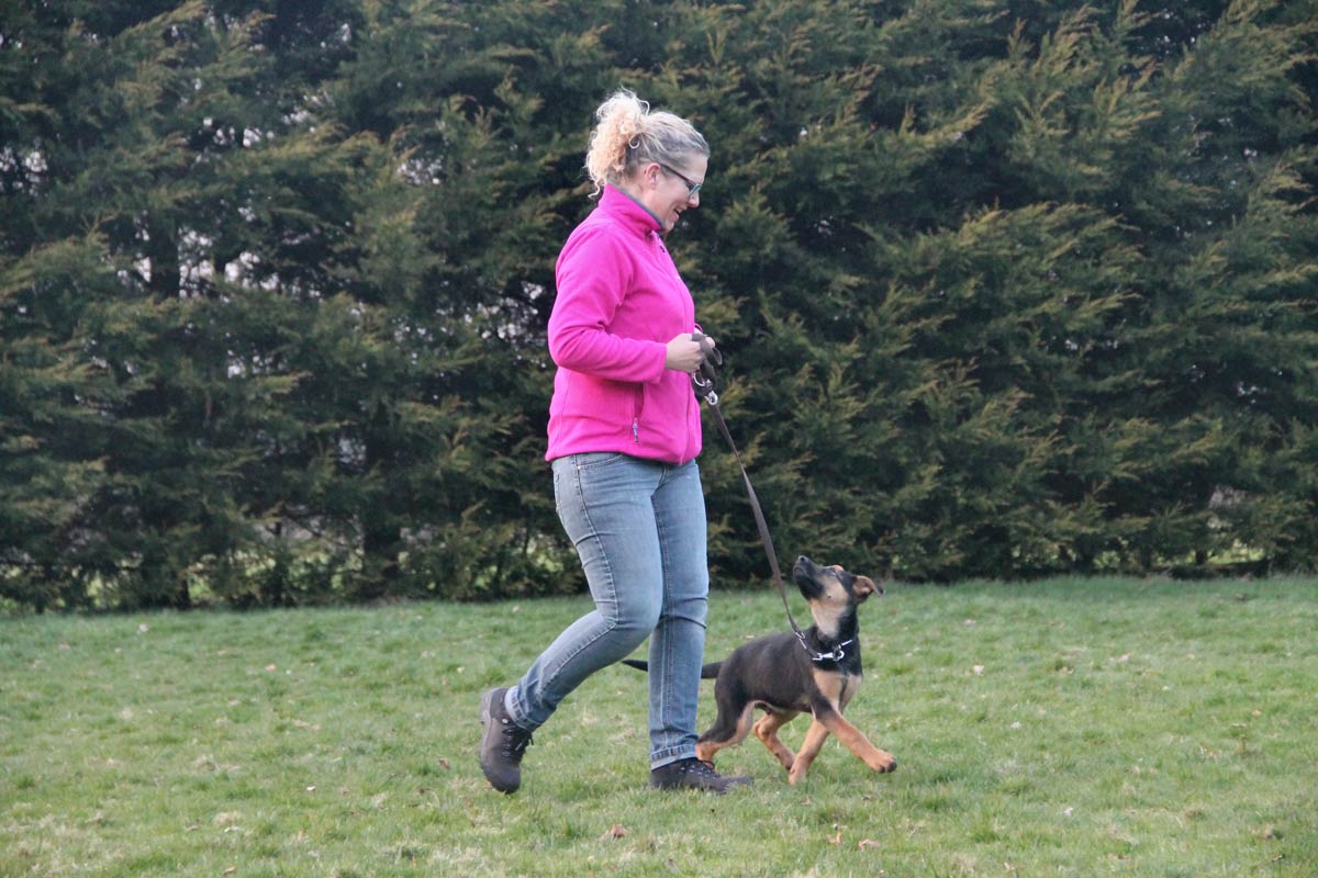 //www.cunos.nl/wp-content/uploads/2017/12/Puppycursus.jpg