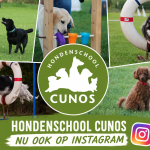 Cunos nu ook op Instagram