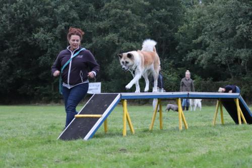 Onderlinge wedstrijd Funtraining 16 juli 2019