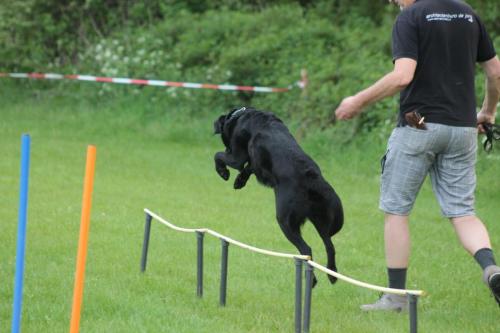 IMG 9981