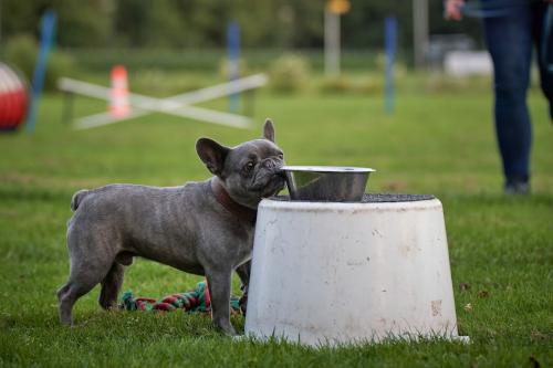 Onderlinge wedstrijd Funtraining 19 juli 2021