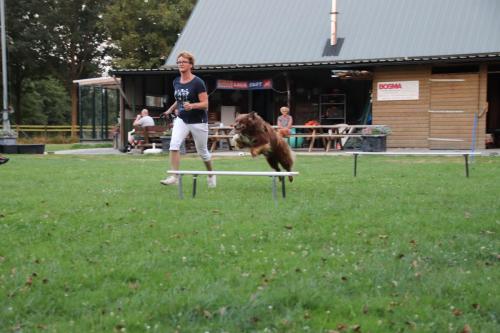 Onderlinge wedstrijd Funtraining 24 juli 2018